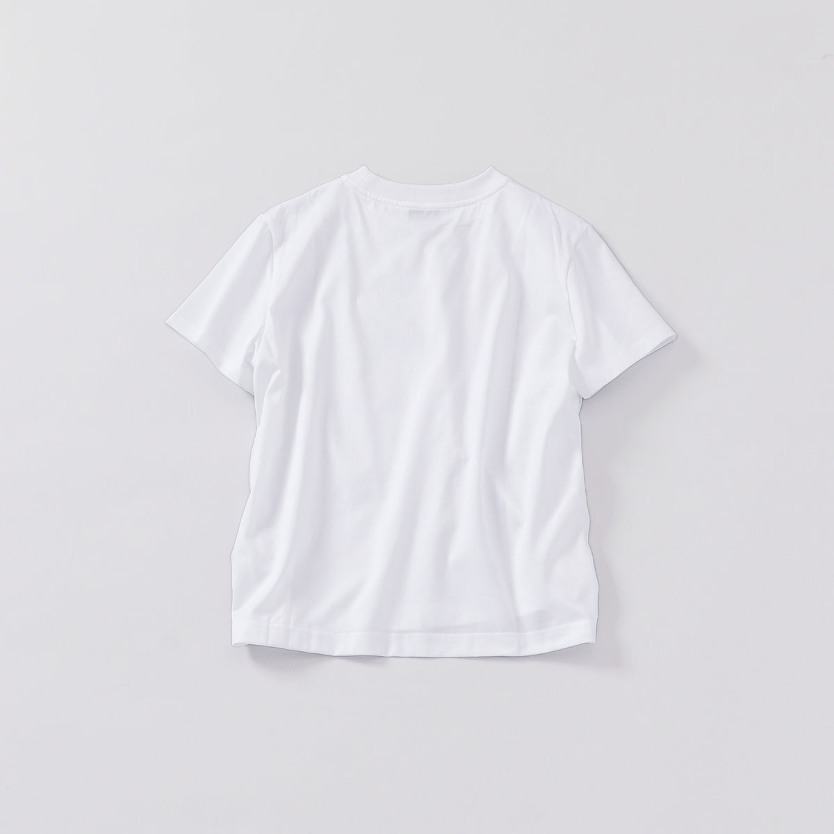 crew neck t-shirt / regular