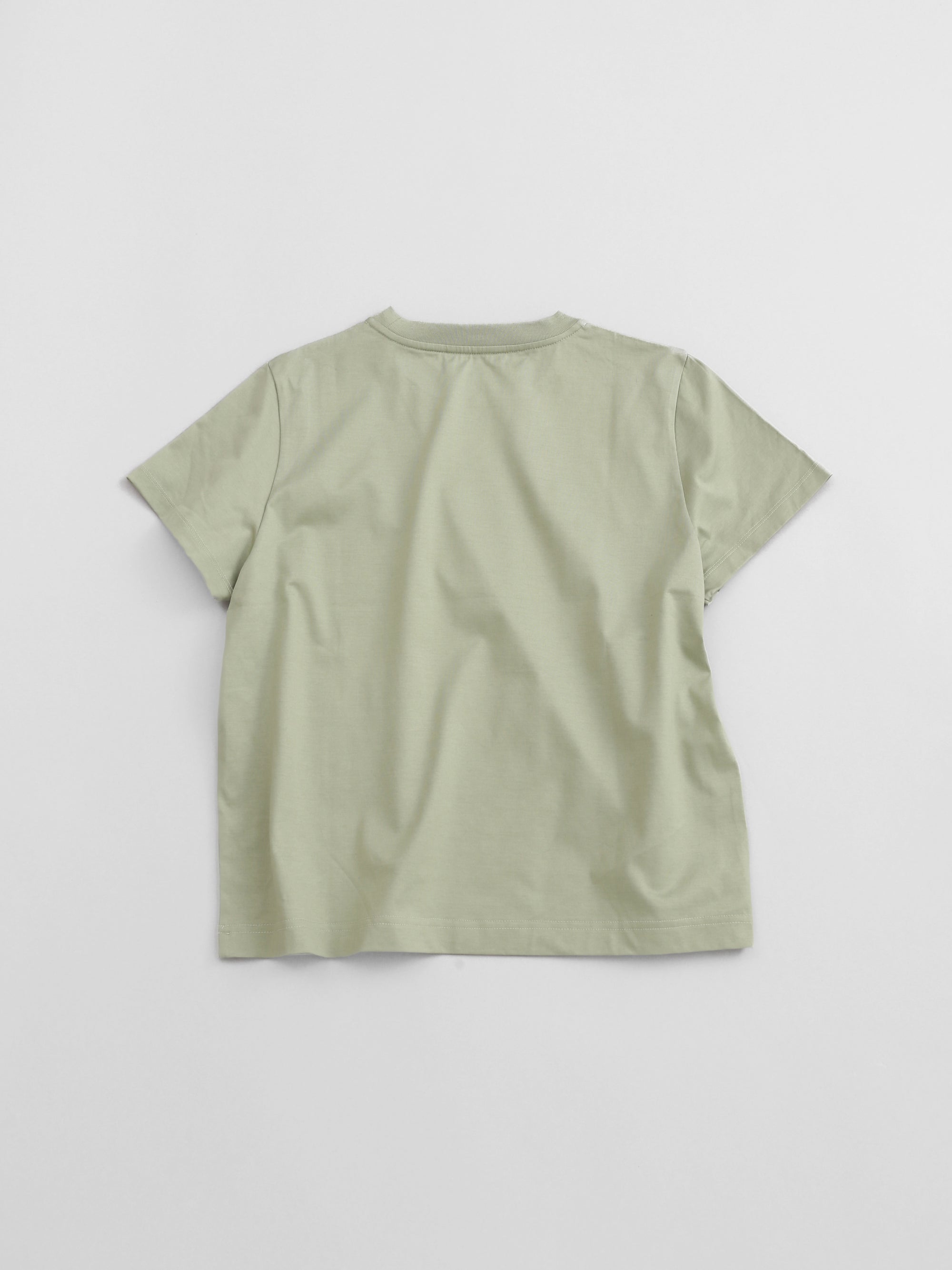 《予約4月中旬お届け》crew neck t-shirt / short