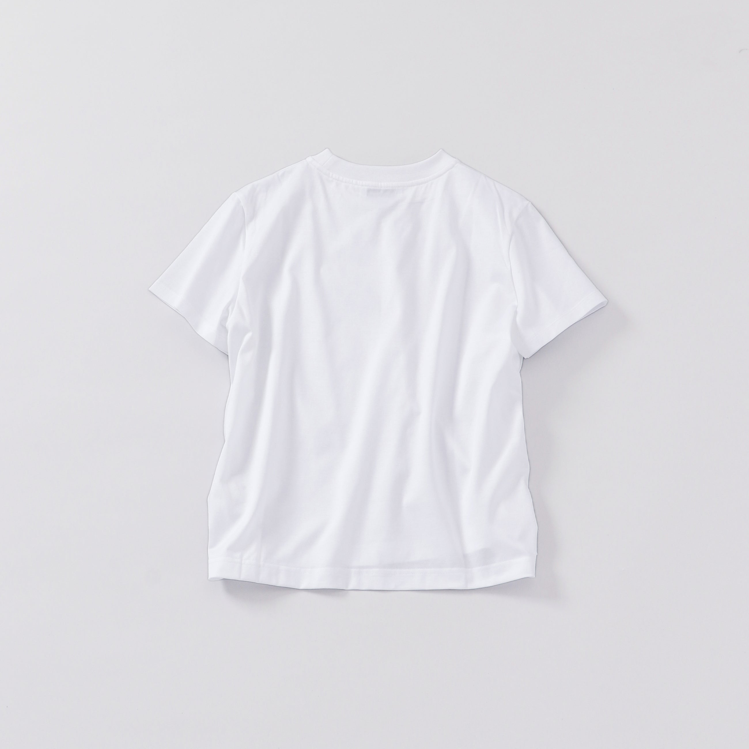 crew neck t-shirt / regular