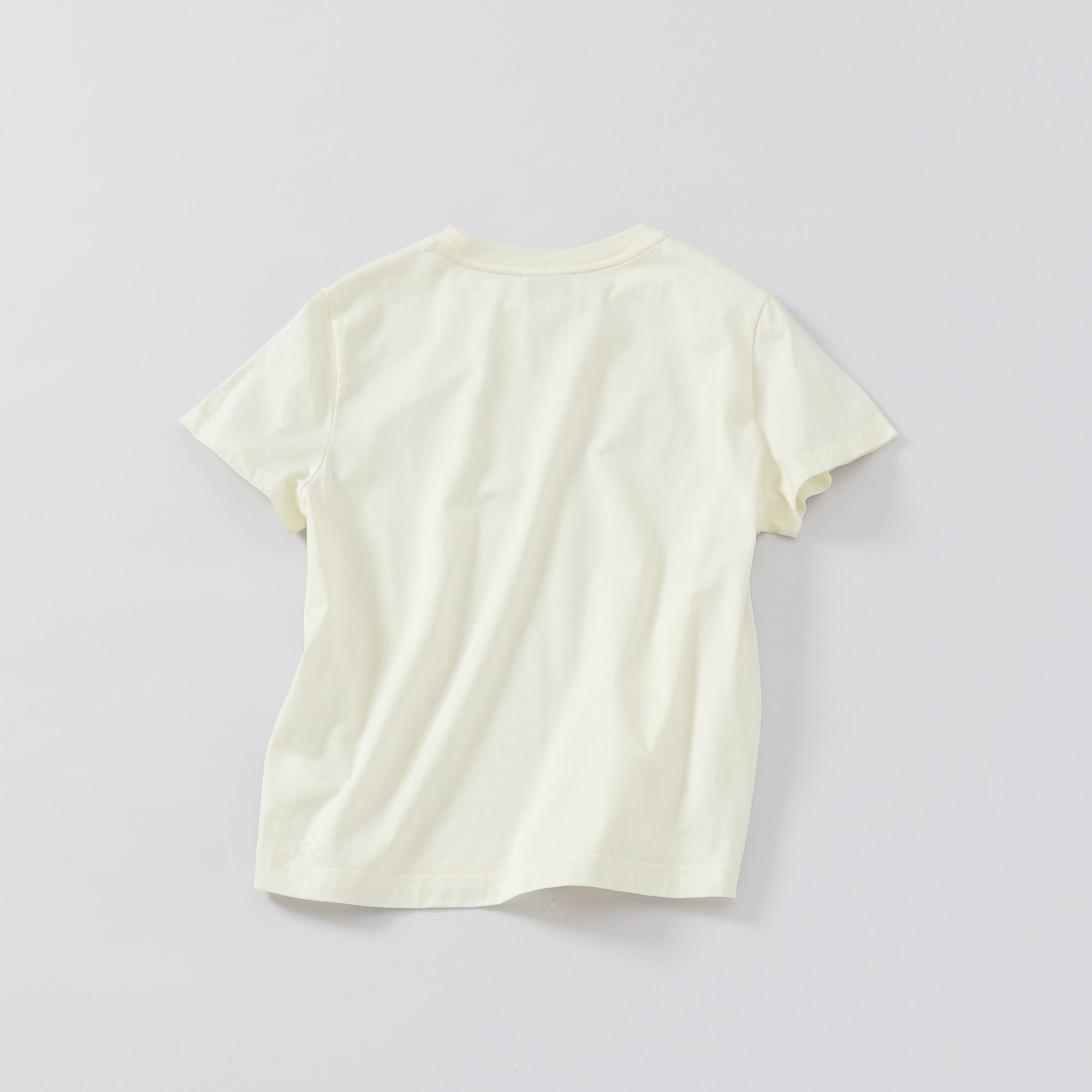 crew neck t-shirt / regular