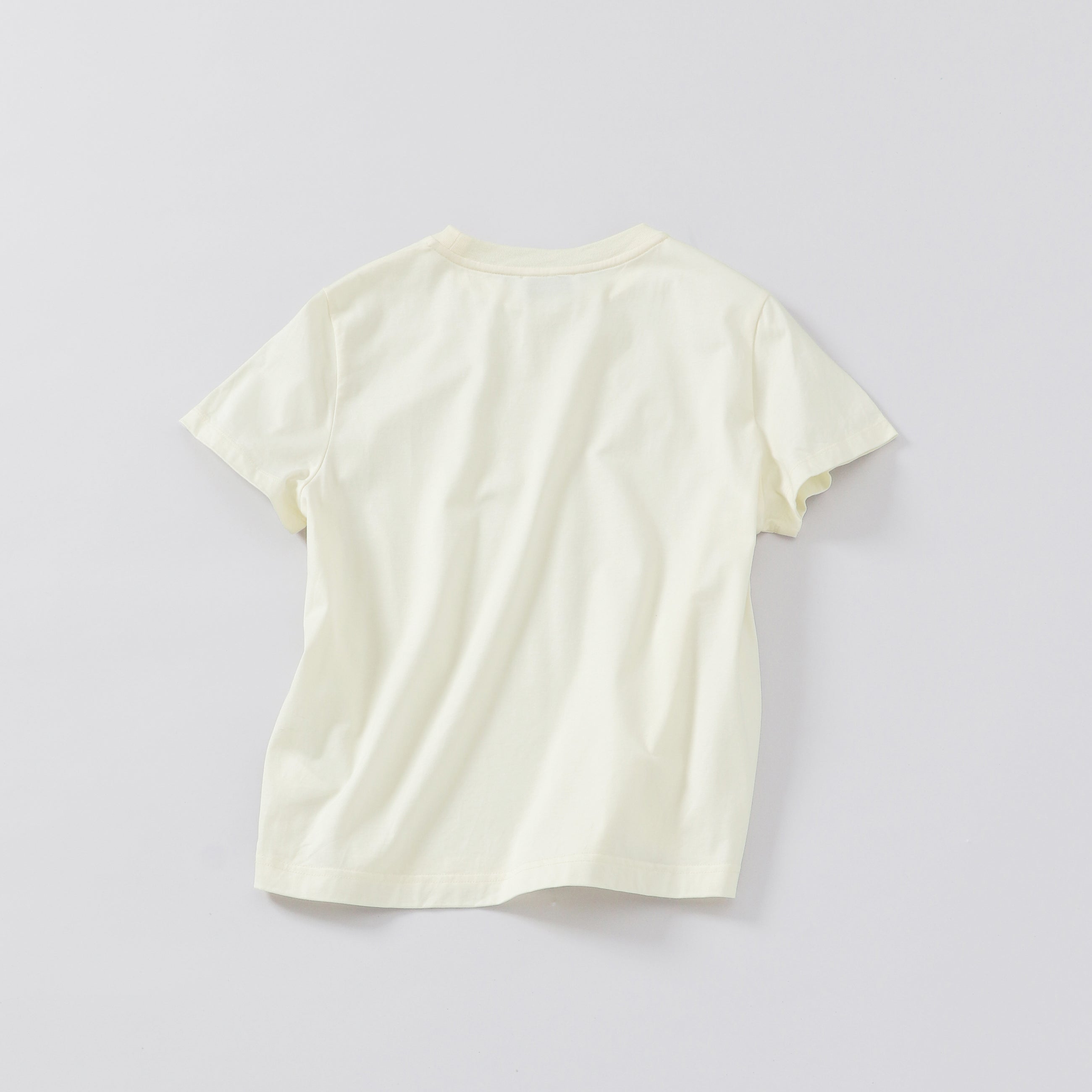 crew neck t-shirt / regular